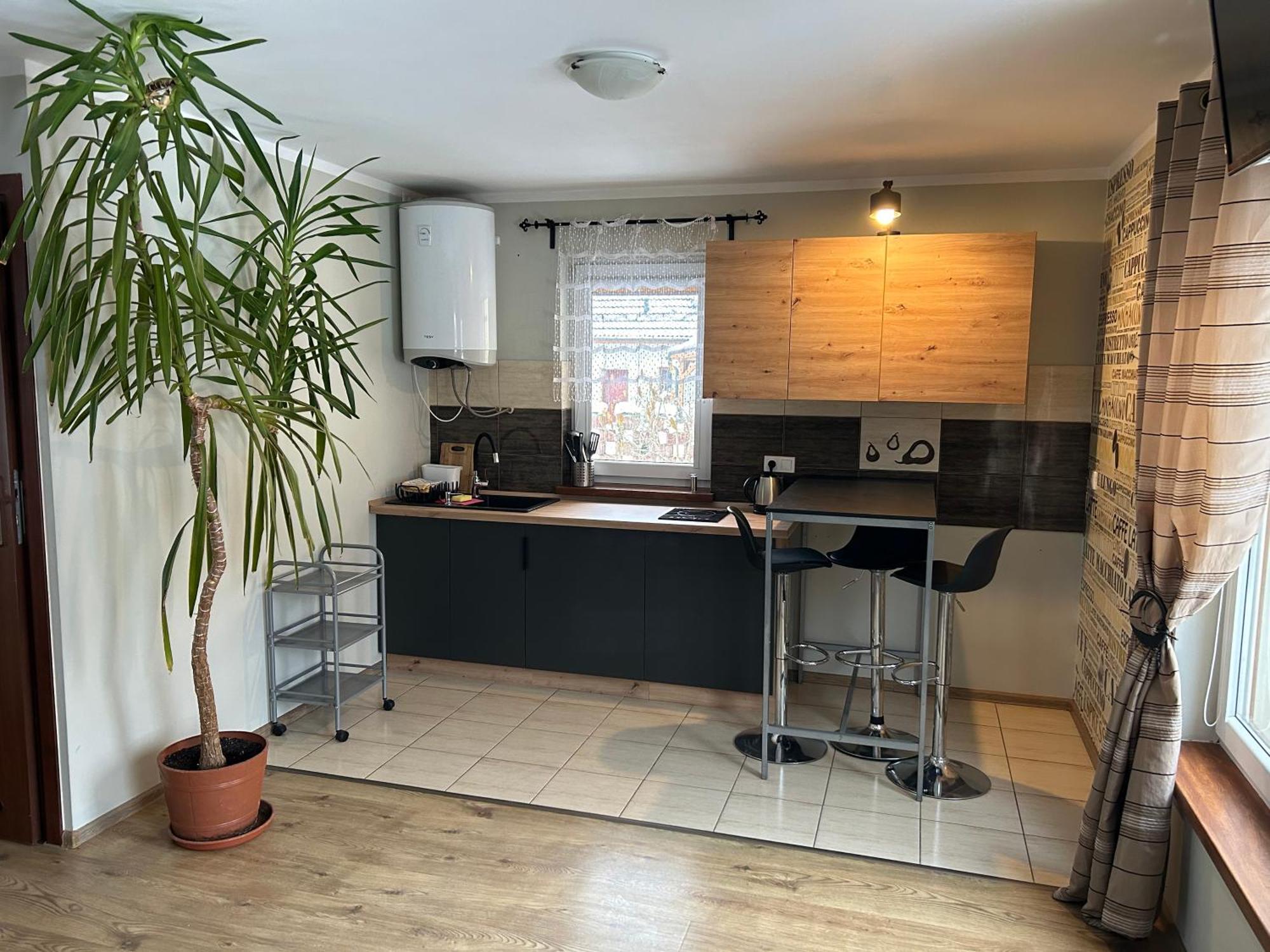 Apartamenty Antonio Kudowa-Zdrój Exterior foto